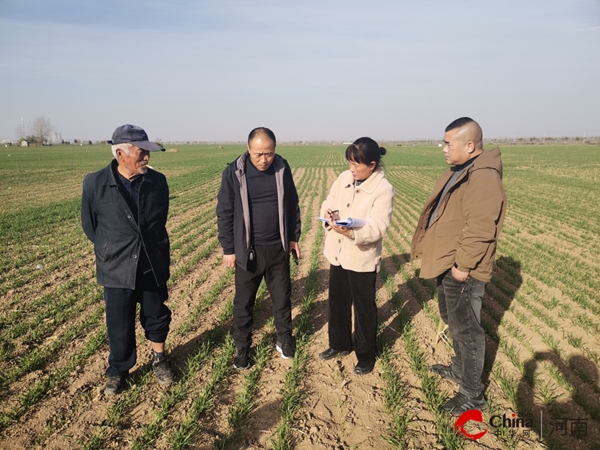 ​西平县农业农村局组织开展典型地块调查适时监测农田氮磷流失状况_新要闻