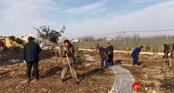 热议：​西平县专探乡群众自愿到小游园参加植树活动