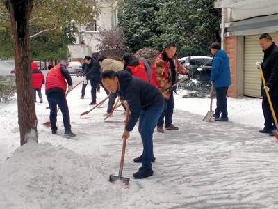 信阳市浉河区游河乡：铲冰除雪在行动 凝聚合力保畅通