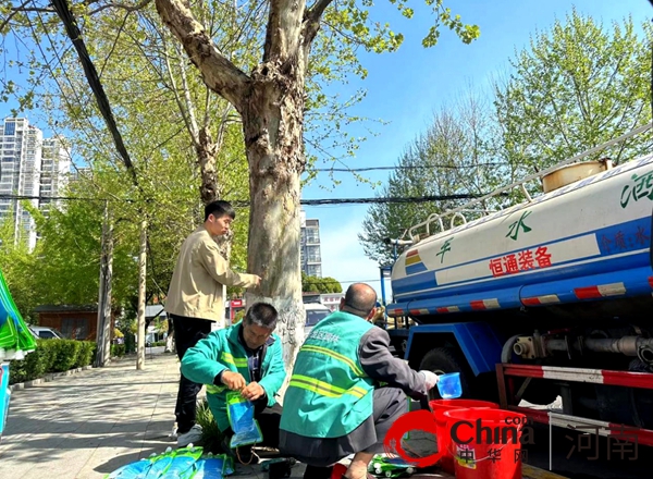 驻马店开发区城市管理局：抢抓关键时机 积极开展病虫害防治工作 全球快报